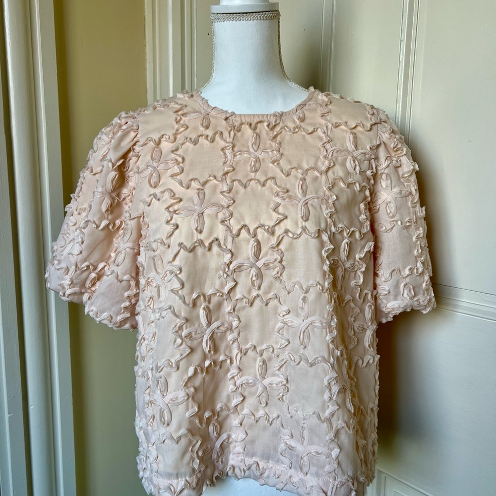 Pink Ruffle Blouse with Black Ribbon Ties - Picture 4 of 6